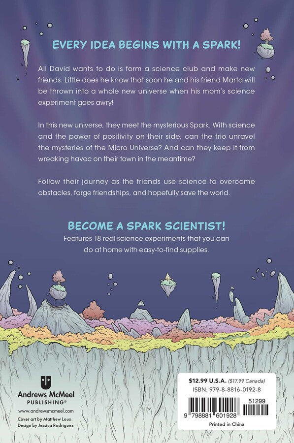 The Spark Experiment Paperback