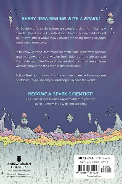 The Spark Experiment Paperback